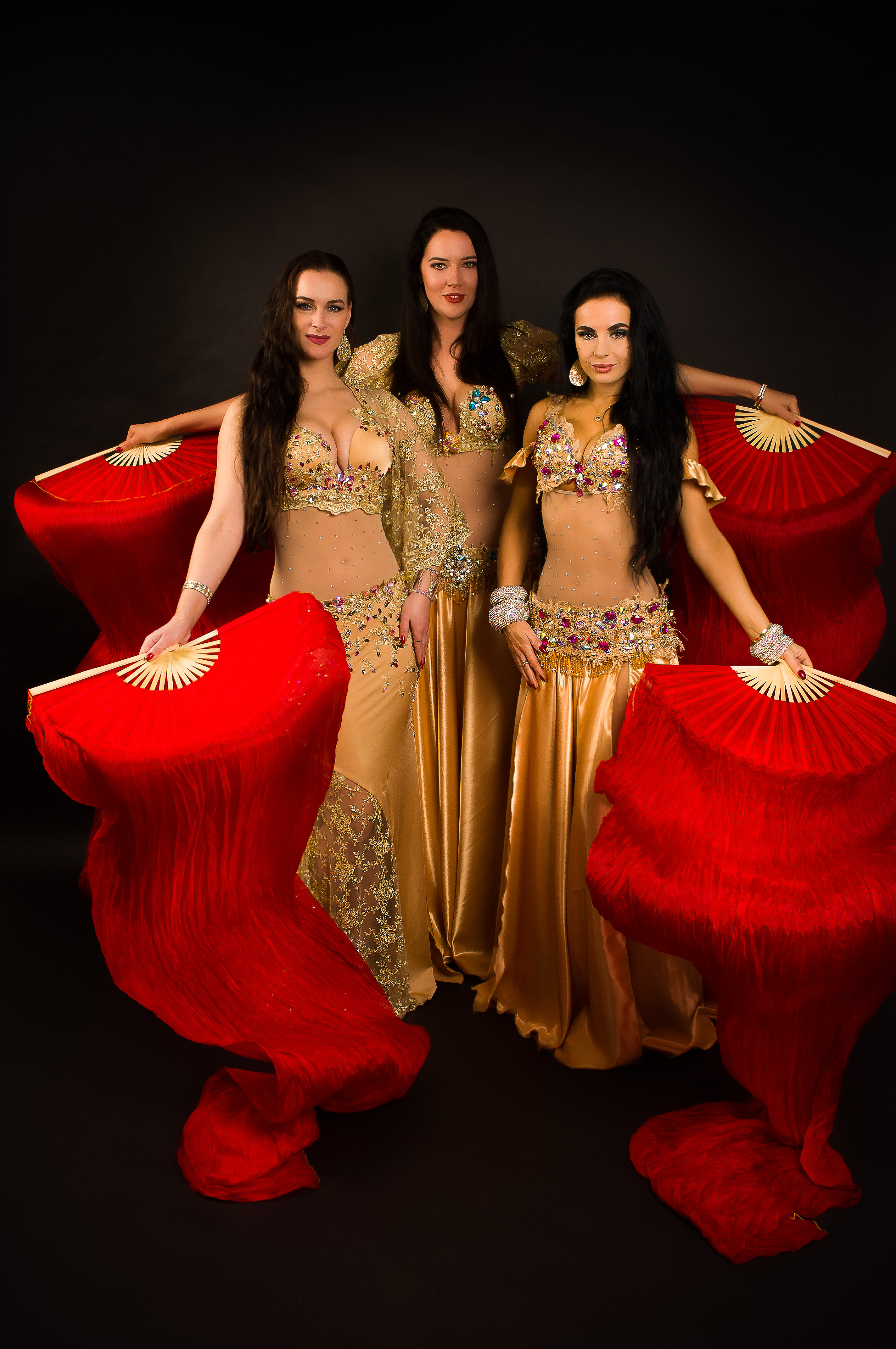 Polina dance costume design. Inspiration, no link  Danse du ventre, Costume  danse orientale, Robe fantaisie